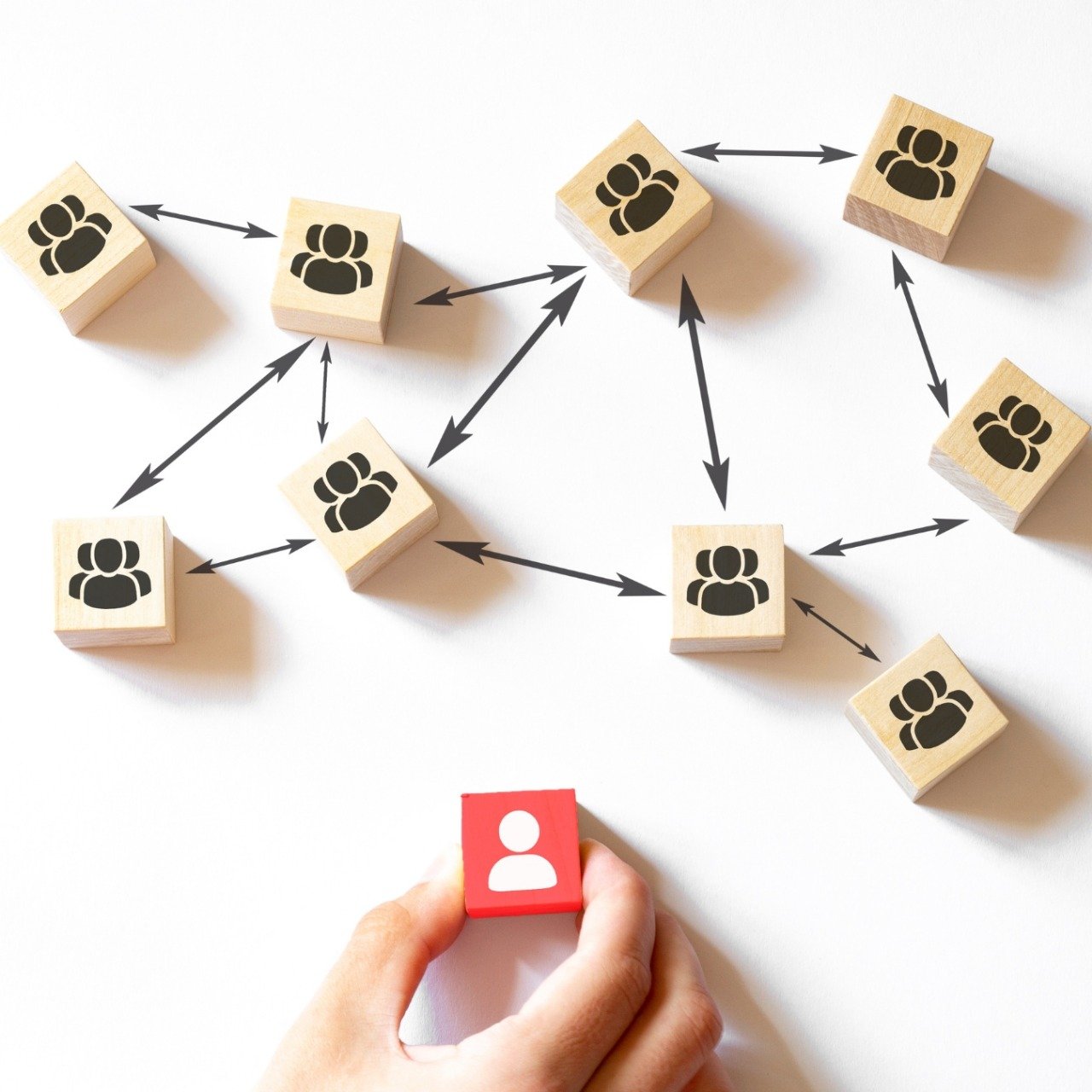 أعضاء الاتحاد